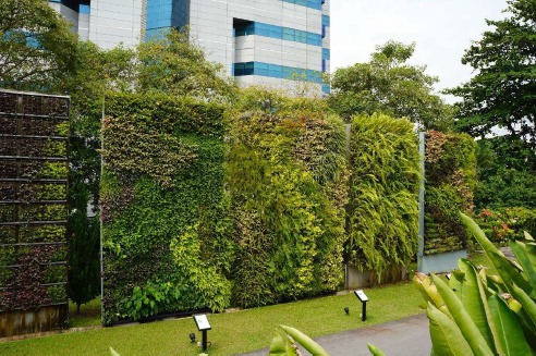 Giardino verticale esterno su facciata di un edificio direzionale, con moduli di piante sempreverdi