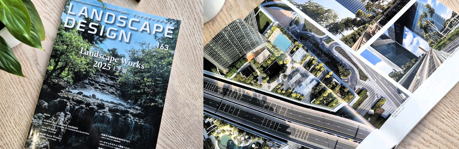 Rivista di landscape design aperta su progetti internazionali di paesaggio e tetti verdi
