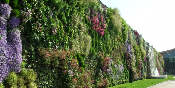Idee Giardino, Cosa sono i giardini artificiali verticali e come progettarli