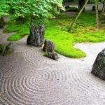 Piante Zen: quali piante utilizzare in un giardino Zen giapponese per meditazione