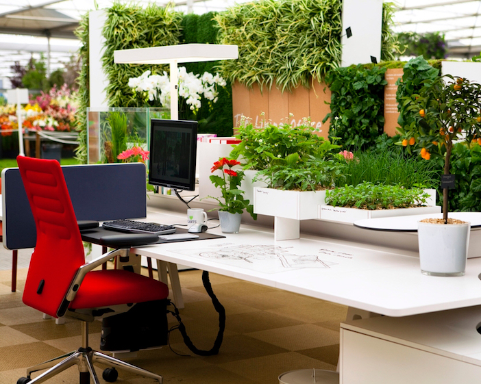 Discover the concept of green office: Explore sustainable office spaces designed for eco-conscious practices - Planetasrl.net