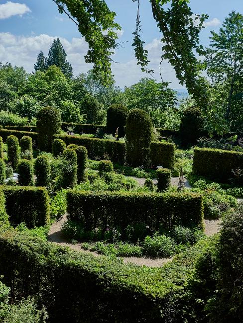 Discover useful tips on how to design a French-style garden: a comprehensive guide on Planetasrl.net