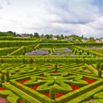 Giardino alla francese: origini, caratteristiche ed esempi di giardini francesi