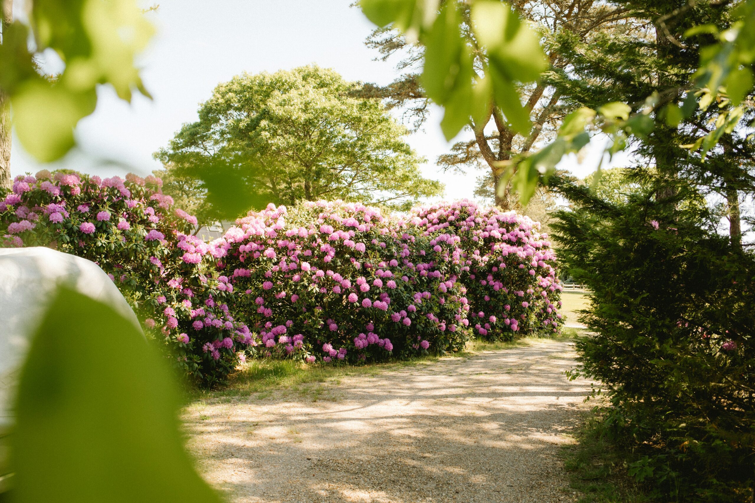 Vialetto da giardino in terra battuta