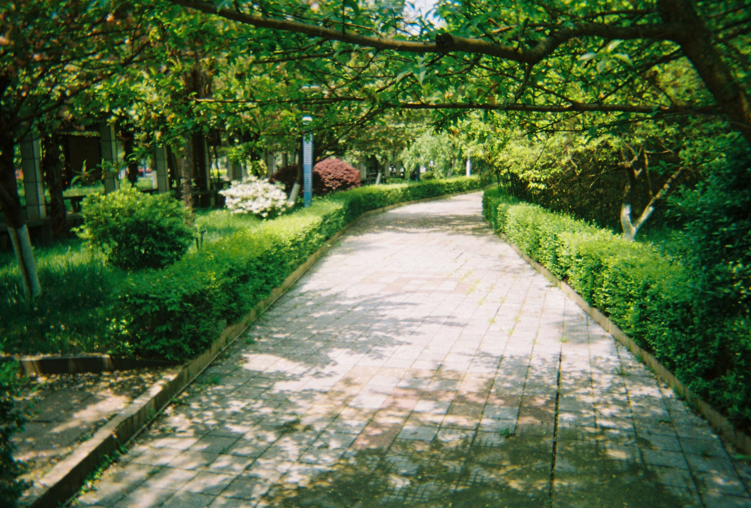 Vialetto da giardino in ciottoli