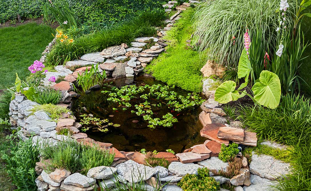 Learn how to build your own artificial pond in the garden with this step-by-step guide - Laghetto artificiale fai da te in giardino: come costruirlo.
