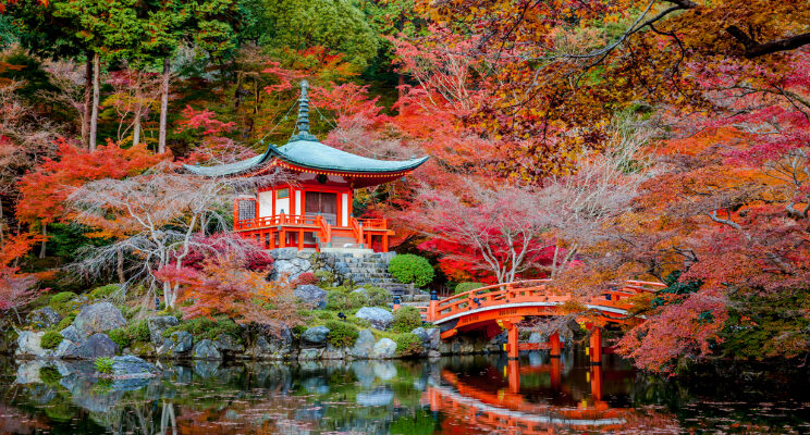 Immagine di un bellissimo giardino zen in un luogo aperto