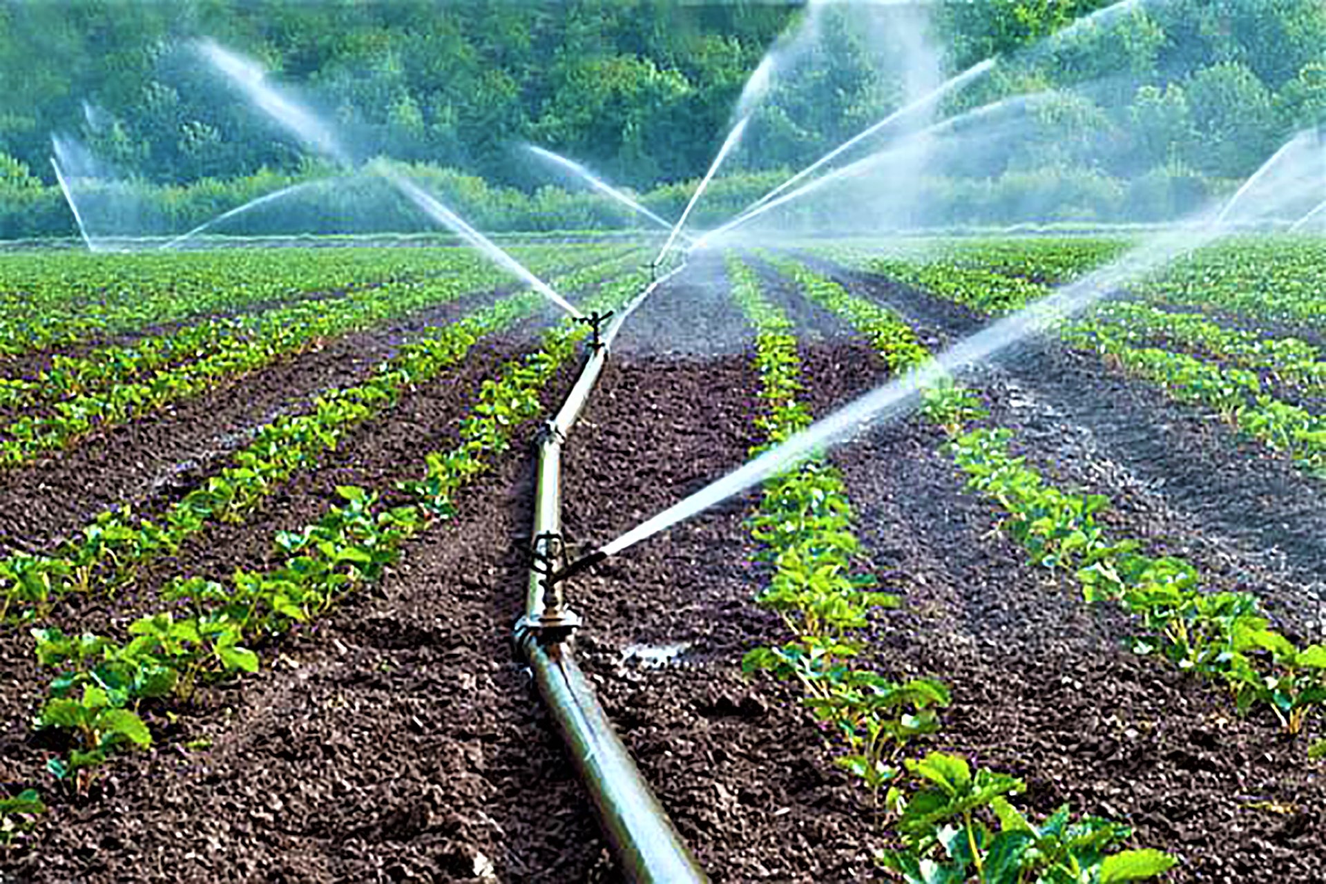 Irrigazione