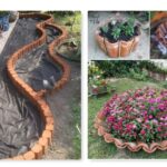 come realizzare bordure per il tuo giardino