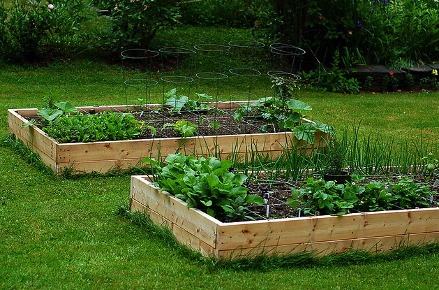 Idee Giardino, creare orto casa: step fondamentali