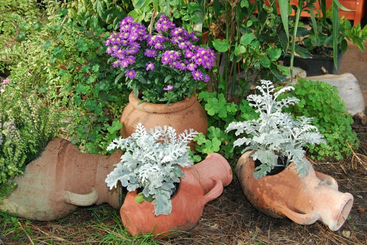 Idee Giardino, anfore giardino vasi: differenze somiglianze