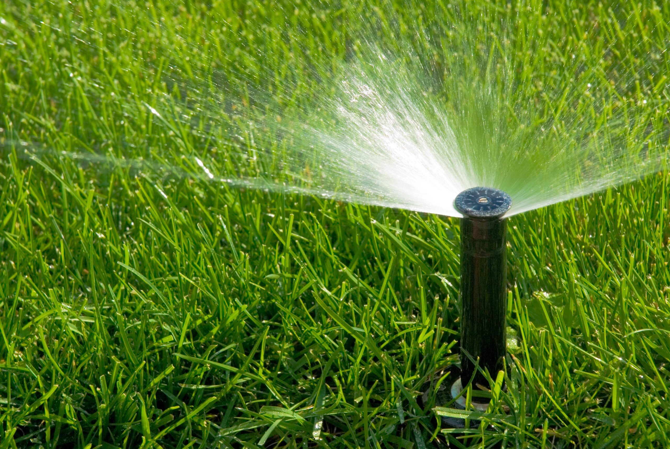 Discover the perfect irrigation system tailored to your needs - Explore a variety of options at Planetasrl.net