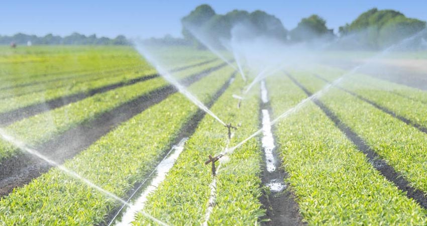 Discover the most commonly used types of irrigation systems - a comprehensive guide for 2023 | Planetasrl.net