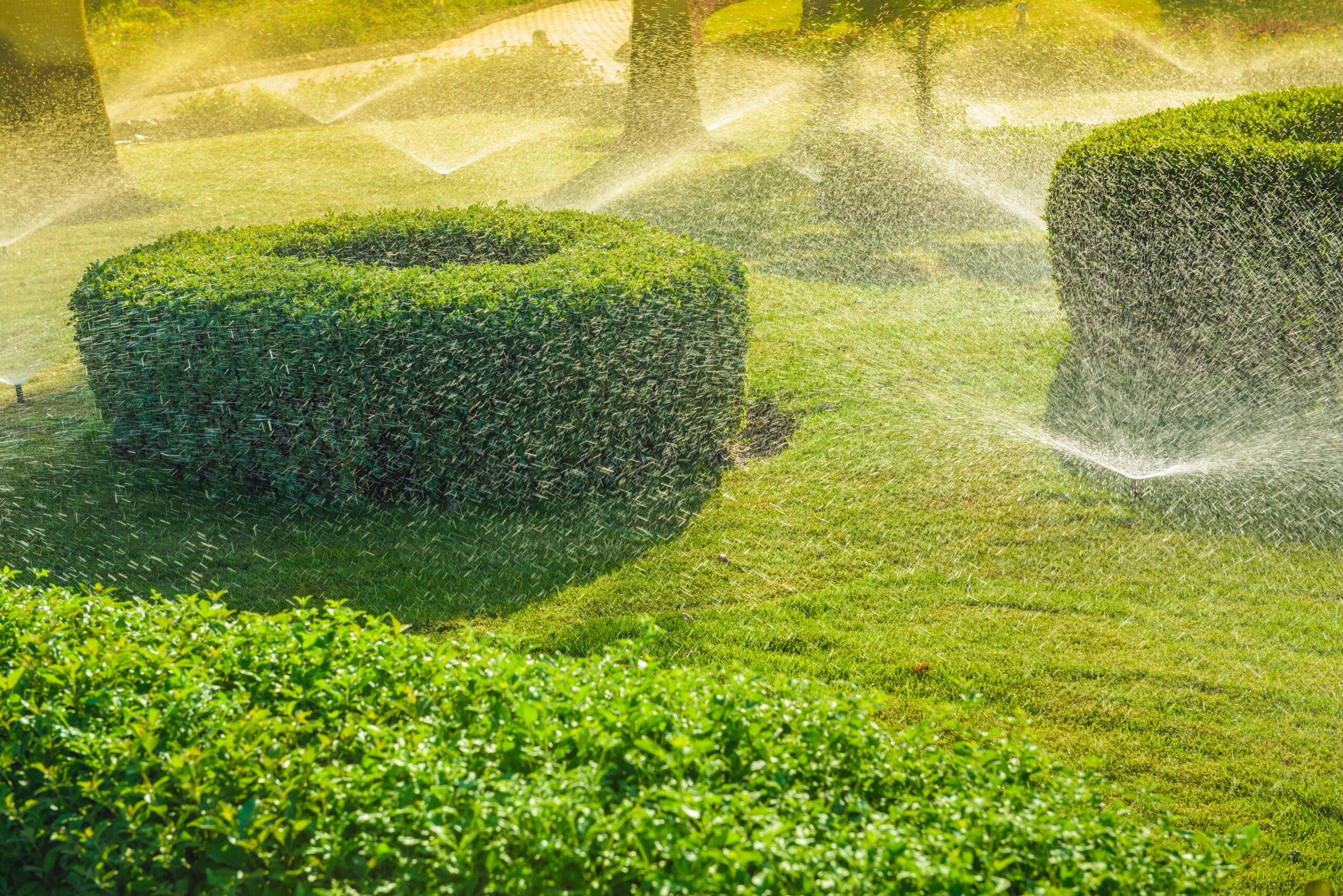 Impianto di irrigazione in funzione