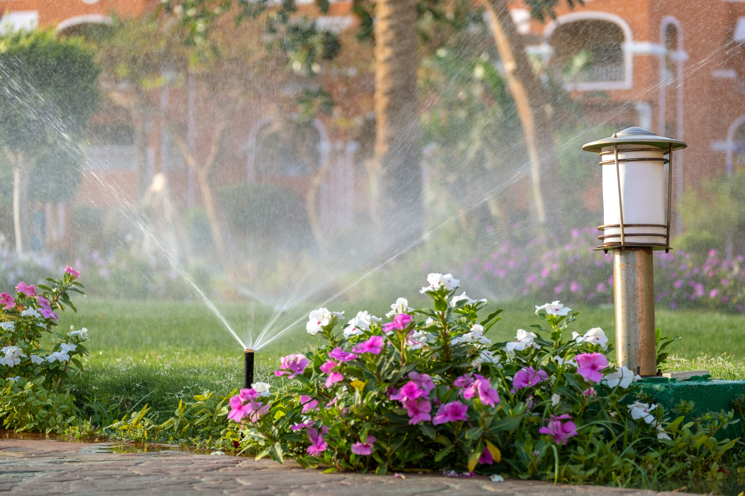 Affidati a Planeta SRL per irrigare il tuo giardino