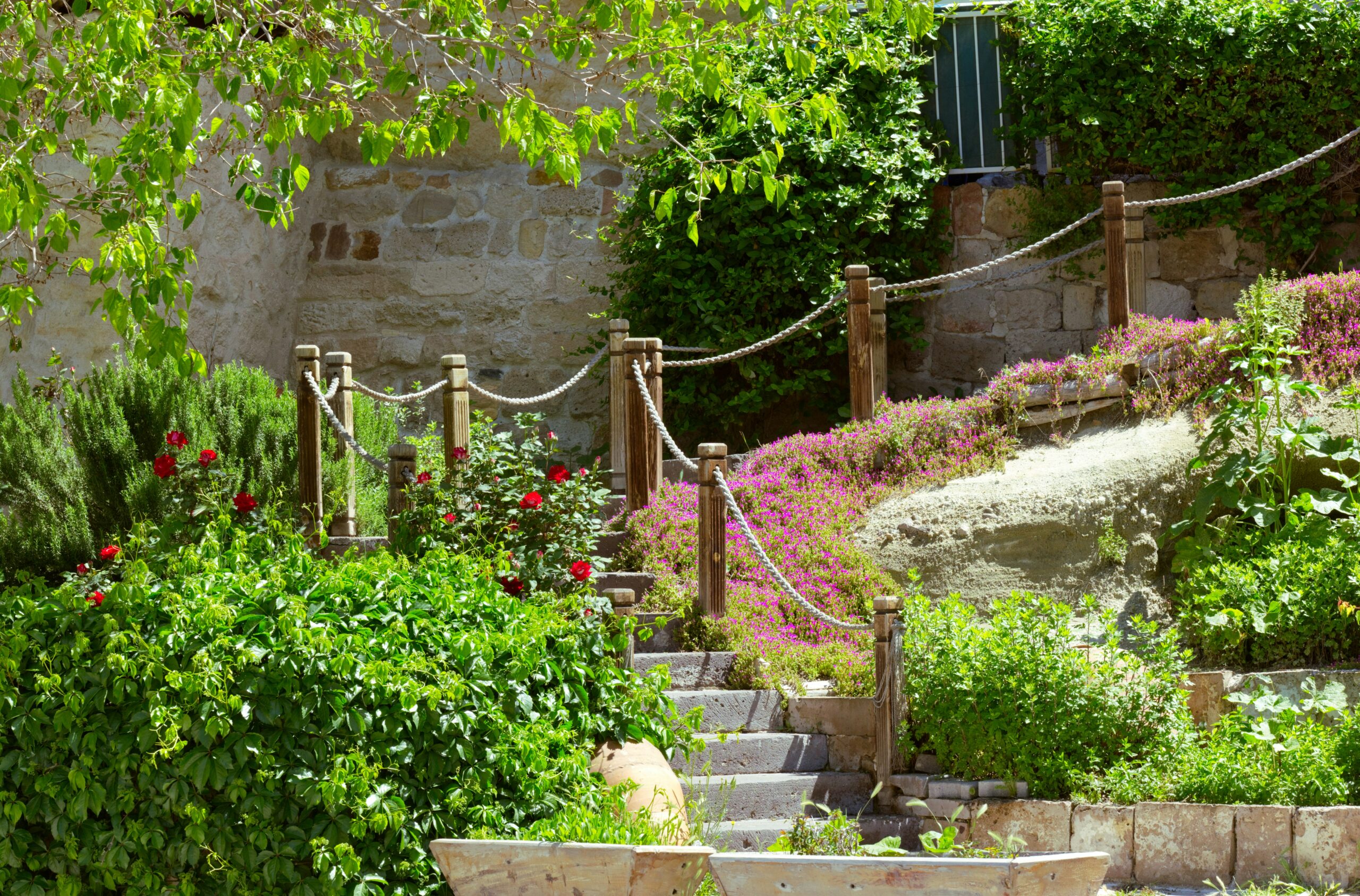 Primo piano di un giardino fai da te