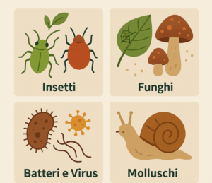 diverse categorie di parassiti