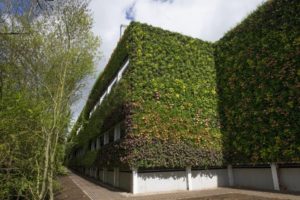 Giardino verticale esterno per condominio