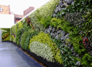 Giardino verticale esterno in cortile privato