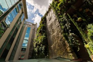 Vertical garden in Sao Paulo