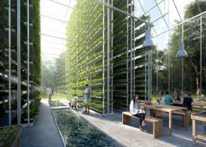 Vertical Farm