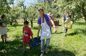 Giardini pensili estensivi