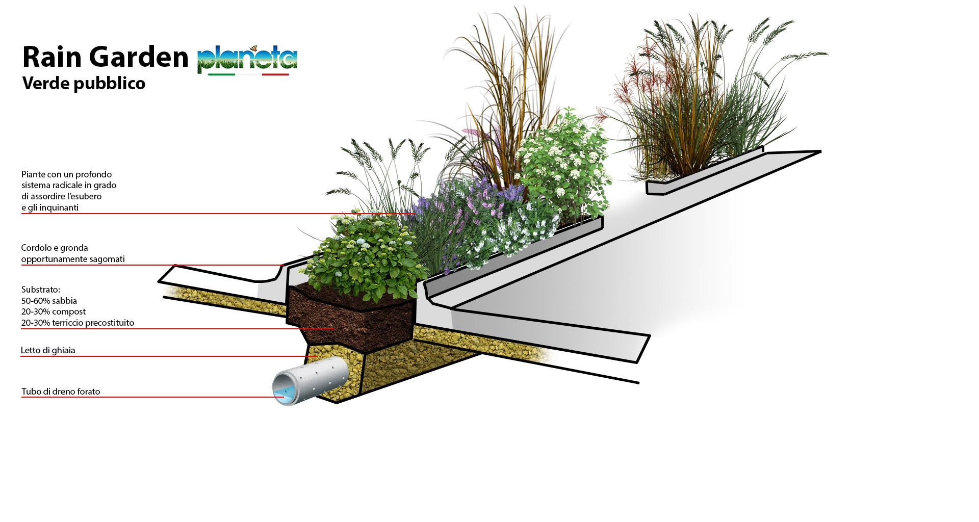 progettazione rain garden