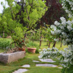 Giardino rustico e giardini di campagna: come progettarli, idee e costi