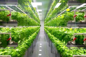 Vertical farming