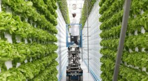 Vertical Farming