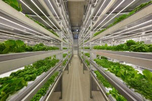 Vertical Farming